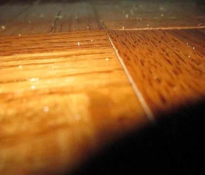 Wood Floor Separation
